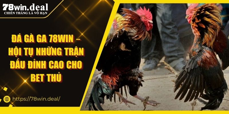 Đá Gà GA 78win