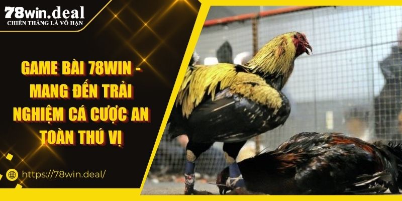 Đá gà Odin 78Win