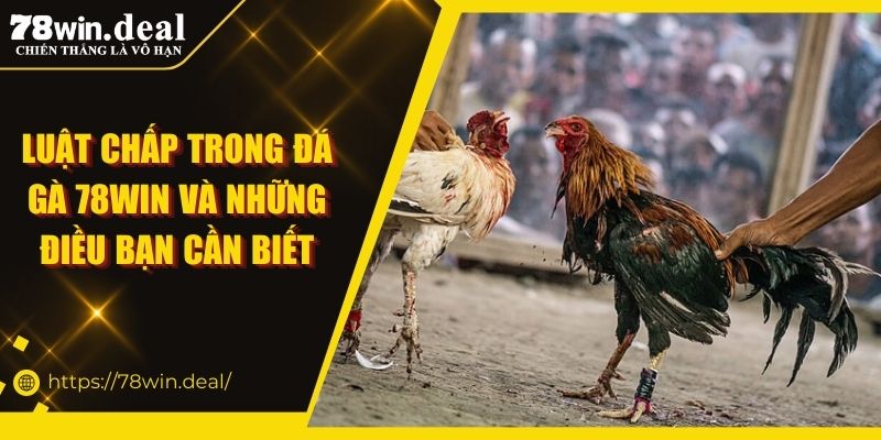 luật chấp trong đá gà 78Win